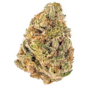 Super Cheese (18–24% THC) – Indoor Hybrid Flower | 1g